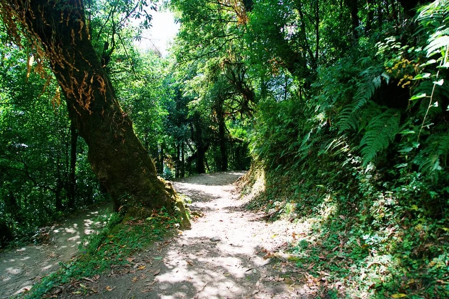 %EB%B3%B4%EC%A0%95__DSC1415.jpg?type=w1200