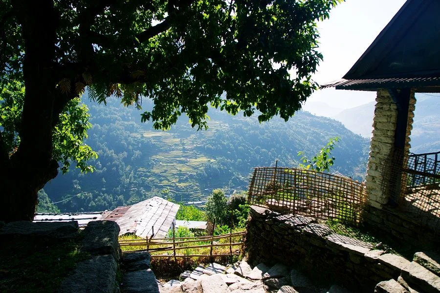 %EB%B3%B4%EC%A0%95__DSC1312.jpg?type=w1200