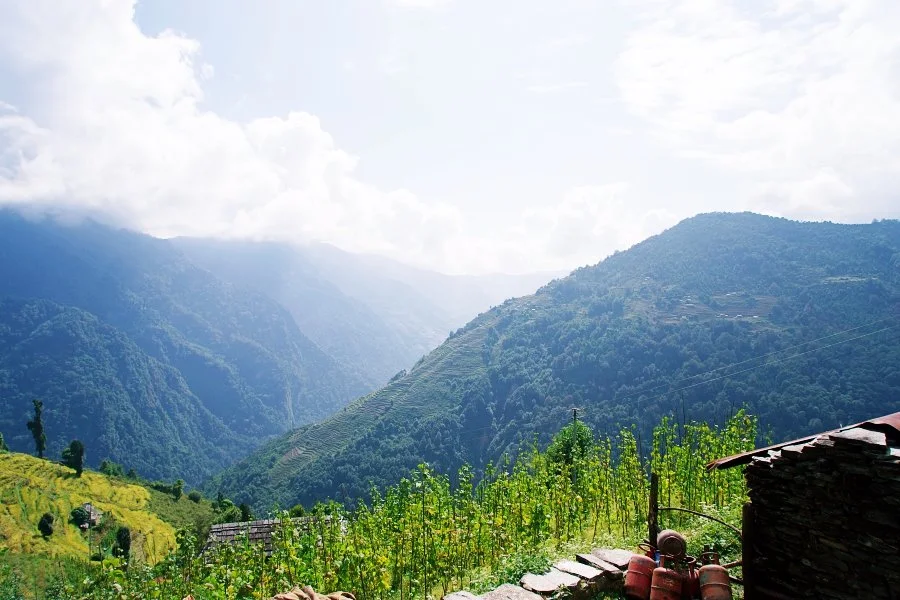 %EB%B3%B4%EC%A0%95__DSC1688.jpg?type=w1200