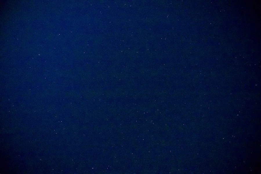 %EB%B3%B4%EC%A0%95__DSC1742.jpg?type=w1200