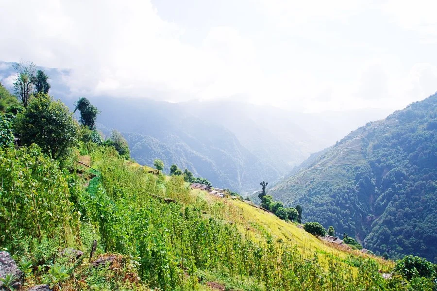 %EB%B3%B4%EC%A0%95__DSC1690.jpg?type=w1200