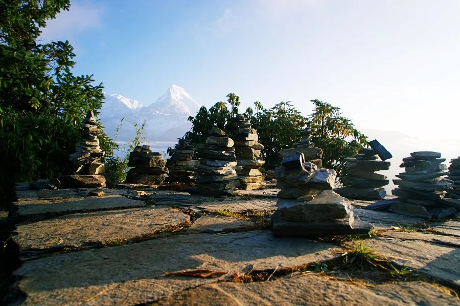 %EB%B3%B4%EC%A0%95__DSC1536.jpg?type=w1200