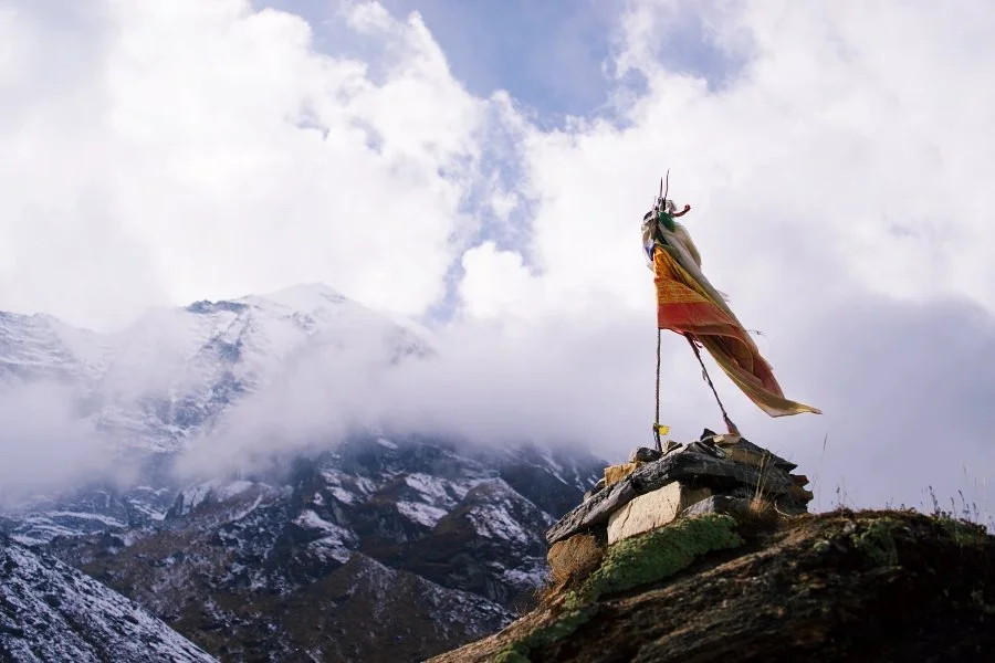 %EB%B3%B4%EC%A0%95__DSC2192.jpg?type=w1200