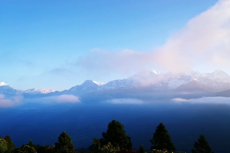 %EB%B3%B4%EC%A0%95__DSC1490.jpg?type=w1200