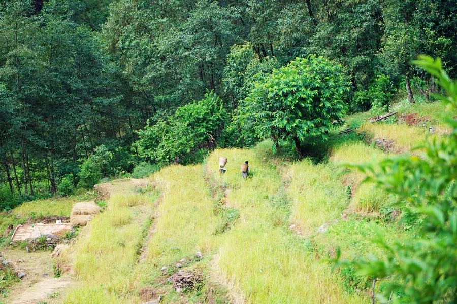 %EB%B3%B4%EC%A0%95__DSC1256.jpg?type=w1200