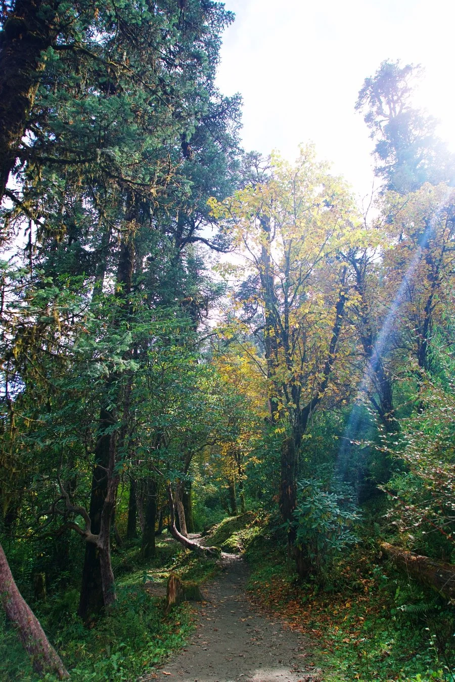 %EB%B3%B4%EC%A0%95__DSC1612.jpg?type=w1200