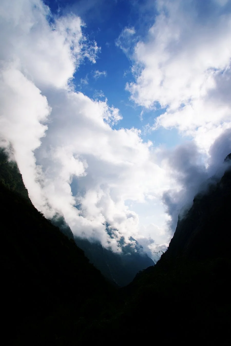 %EB%B3%B4%EC%A0%95__DSC1985.jpg?type=w1200