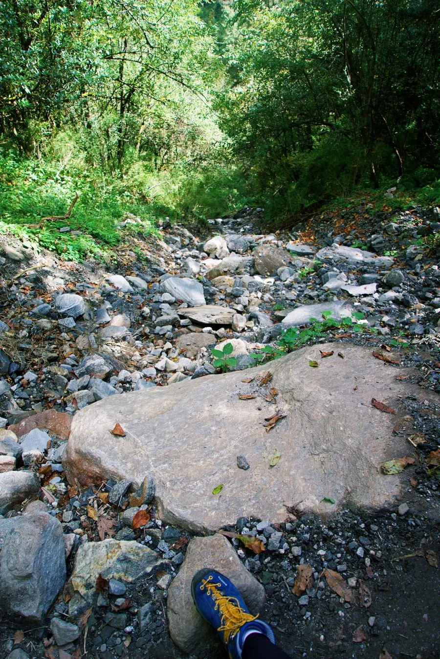 %EB%B3%B4%EC%A0%95__DSC1793.jpg?type=w1200