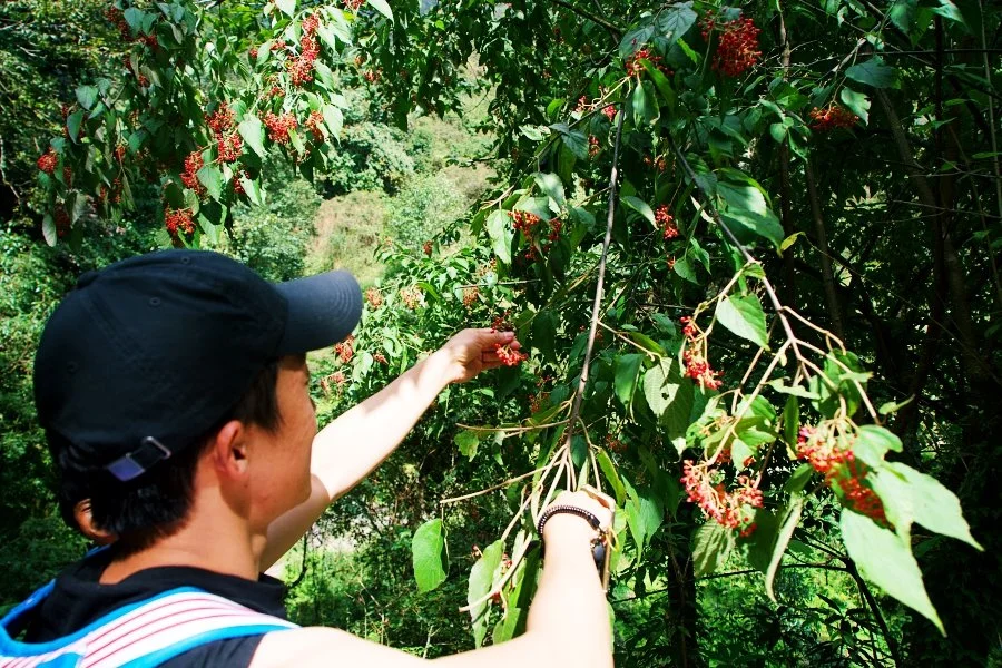 %EB%B3%B4%EC%A0%95__DSC1686.jpg?type=w1200