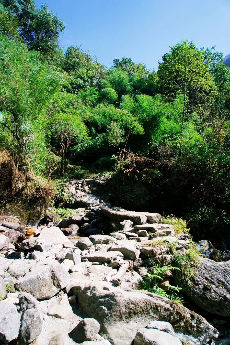 %EB%B3%B4%EC%A0%95__DSC1771.jpg?type=w1200