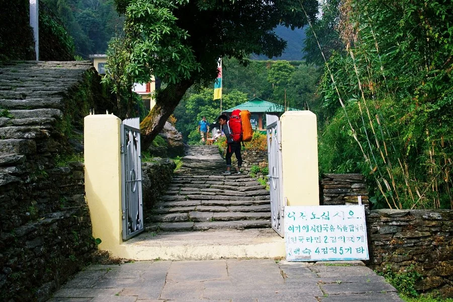 %EB%B3%B4%EC%A0%95__DSC1704.jpg?type=w1200