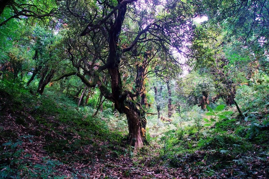 %EB%B3%B4%EC%A0%95__DSC1428.jpg?type=w1200