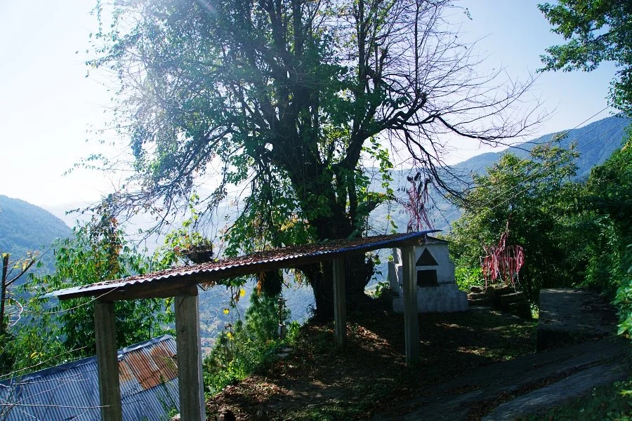 %EB%B3%B4%EC%A0%95__DSC1322.jpg?type=w1200