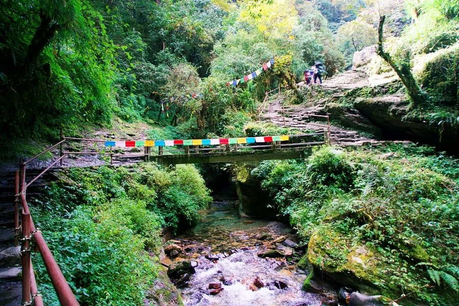 %EB%B3%B4%EC%A0%95__DSC1411.jpg?type=w1200