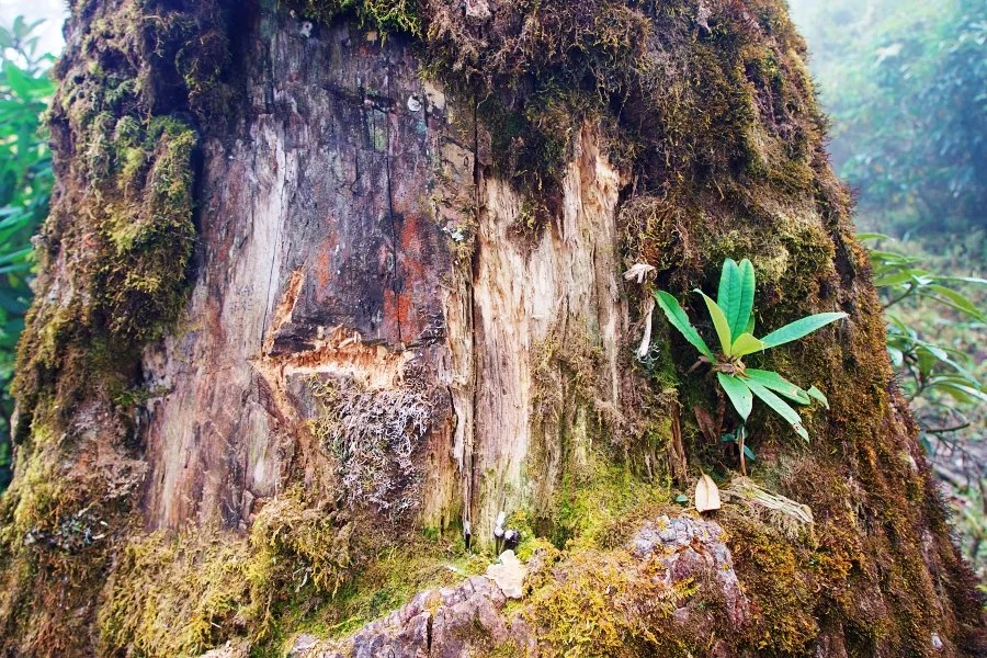 %EB%B3%B4%EC%A0%95__DSC1610.jpg?type=w1200