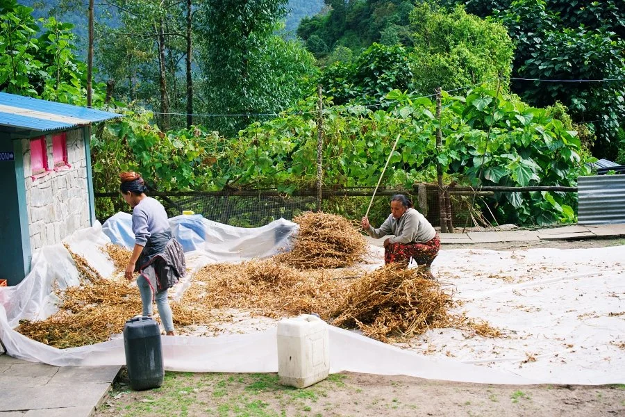 %EB%B3%B4%EC%A0%95__DSC1717.jpg?type=w1200