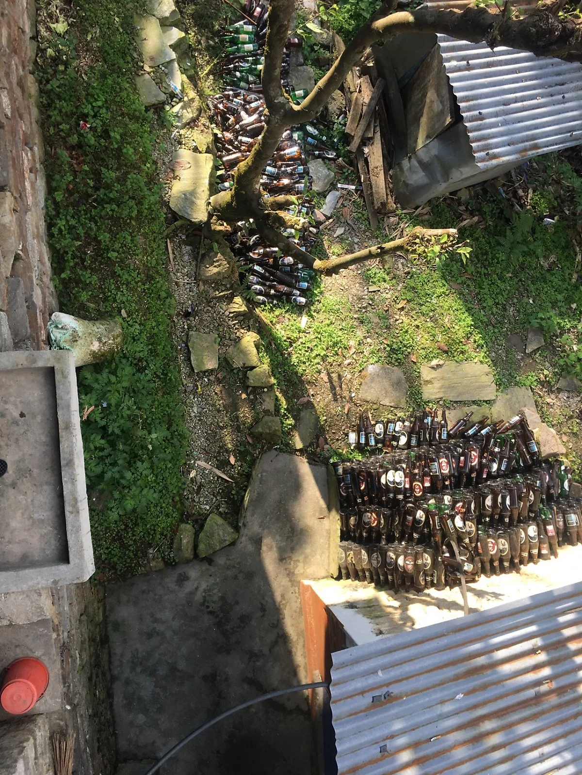 IMG_2276.jpg?type=w1200