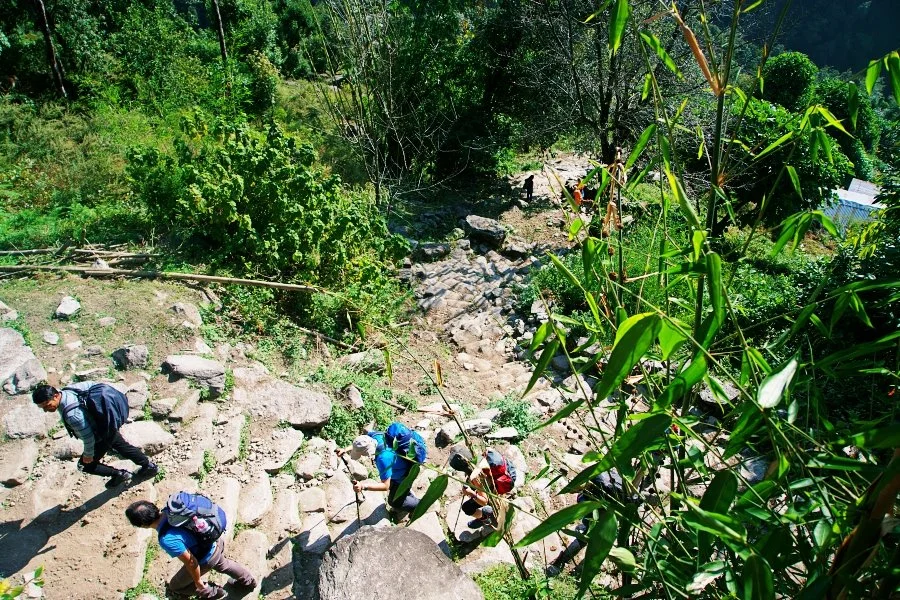 %EB%B3%B4%EC%A0%95__DSC1306.jpg?type=w1200