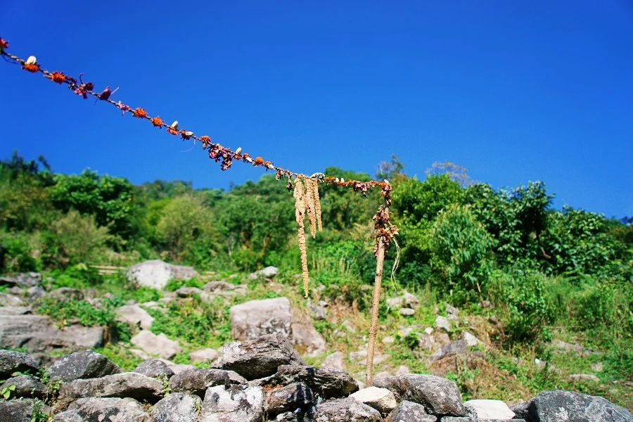 %EB%B3%B4%EC%A0%95__DSC1303.jpg?type=w1200