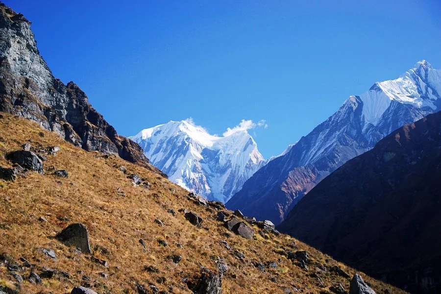 %EB%B3%B4%EC%A0%95__DSC2119.jpg?type=w1200