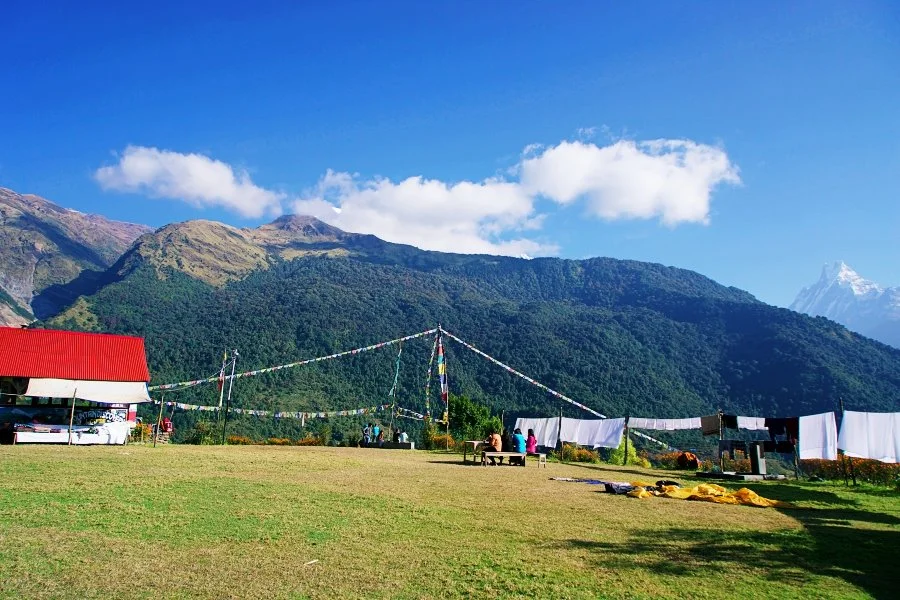 %EB%B3%B4%EC%A0%95__DSC1645.jpg?type=w1200