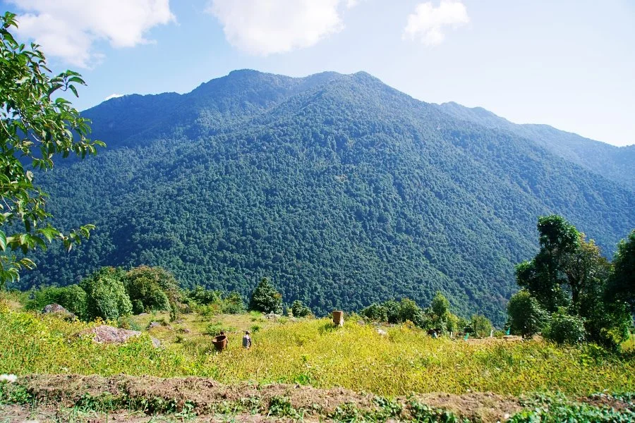 %EB%B3%B4%EC%A0%95__DSC1370.jpg?type=w1200