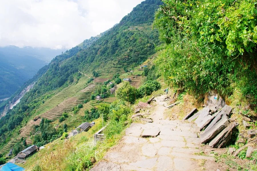 %EB%B3%B4%EC%A0%95__DSC1693.jpg?type=w1200