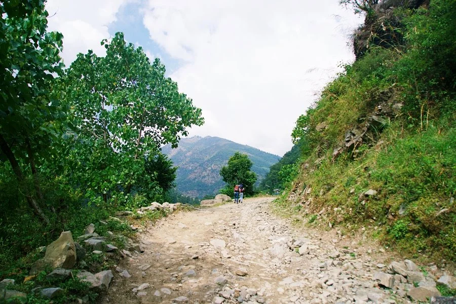 %EB%B3%B4%EC%A0%95__DSC1257.jpg?type=w1200