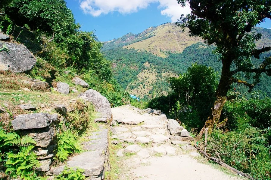 %EB%B3%B4%EC%A0%95__DSC1374.jpg?type=w1200