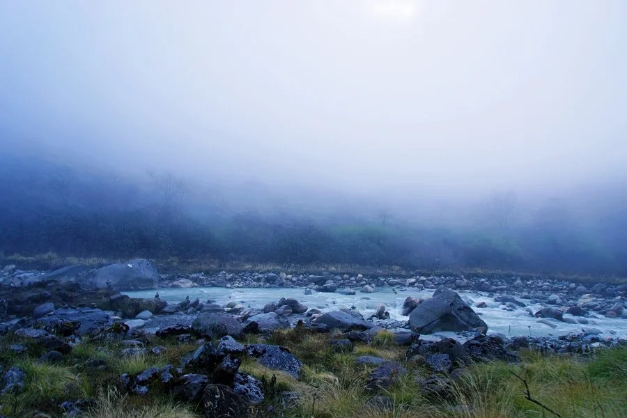 %EB%B3%B4%EC%A0%95__DSC2008.jpg?type=w1200