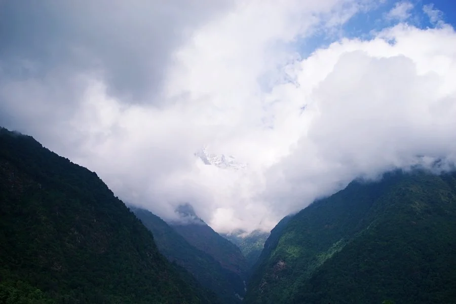 %EB%B3%B4%EC%A0%95__DSC1714.jpg?type=w1200