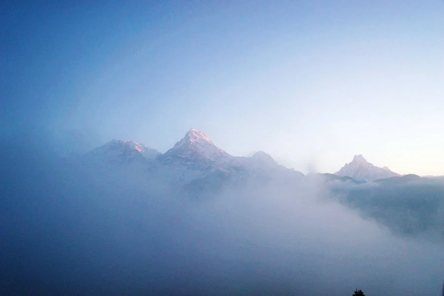 %EB%B3%B4%EC%A0%95__DSC1458.jpg?type=w1200