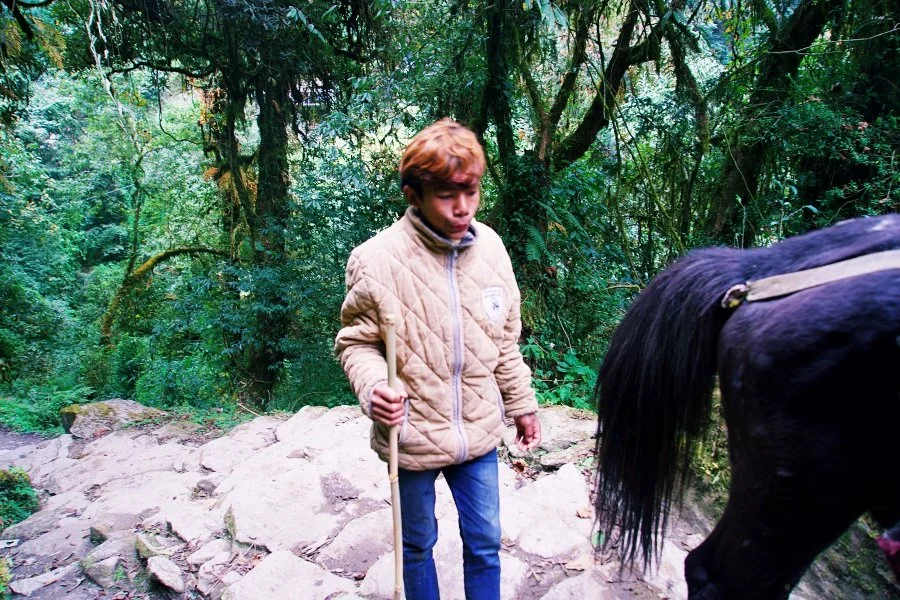 %EB%B3%B4%EC%A0%95__DSC1404.jpg?type=w1200