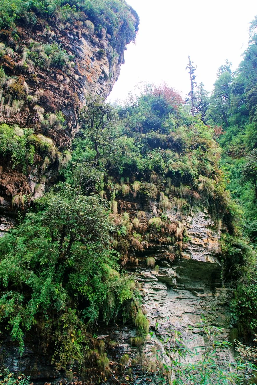 %EB%B3%B4%EC%A0%95__DSC1618.jpg?type=w1200