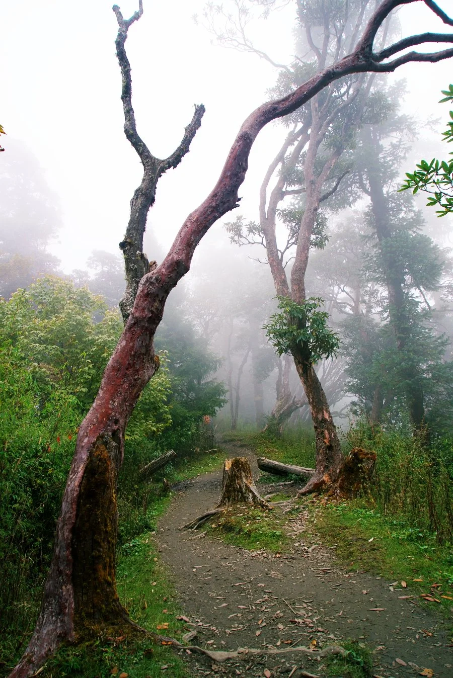 %EB%B3%B4%EC%A0%95__DSC1595.jpg?type=w1200