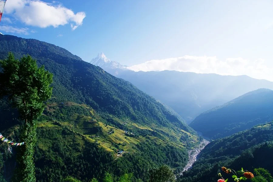 %EB%B3%B4%EC%A0%95__DSC1650.jpg?type=w1200