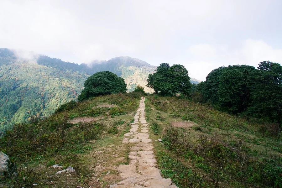 %EB%B3%B4%EC%A0%95__DSC1569.jpg?type=w1200