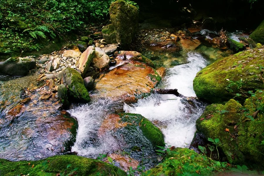 %EB%B3%B4%EC%A0%95__DSC1414.jpg?type=w1200