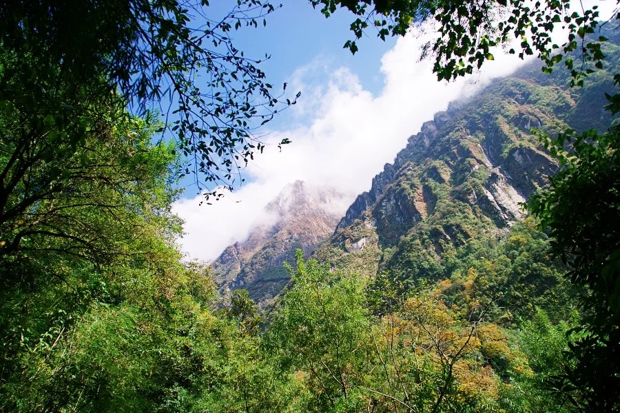 %EB%B3%B4%EC%A0%95__DSC1796.jpg?type=w1200