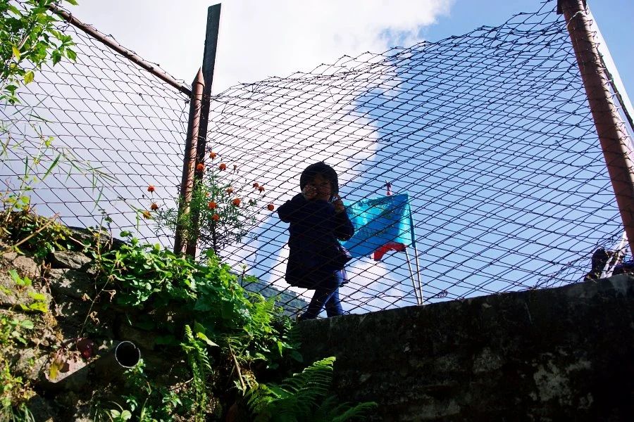 %EB%B3%B4%EC%A0%95__DSC1673.jpg?type=w1200