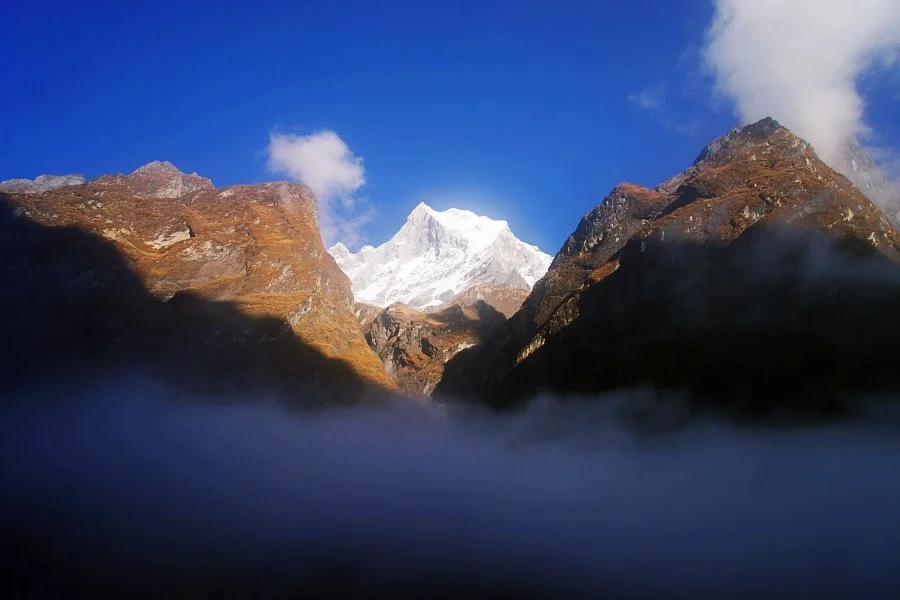 %EB%B3%B4%EC%A0%95__DSC2003.jpg?type=w1200