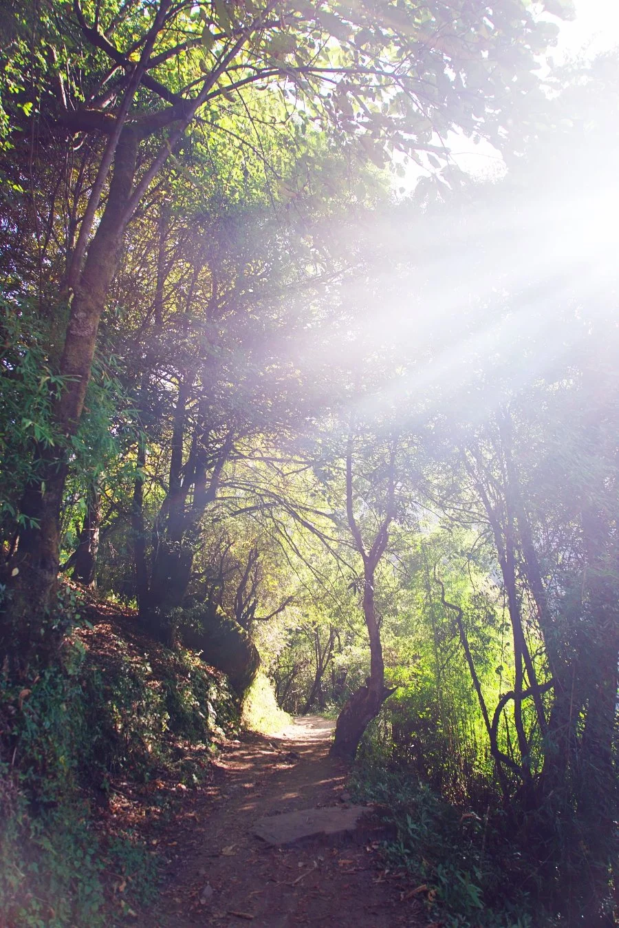 %EB%B3%B4%EC%A0%95__DSC1763.jpg?type=w1200