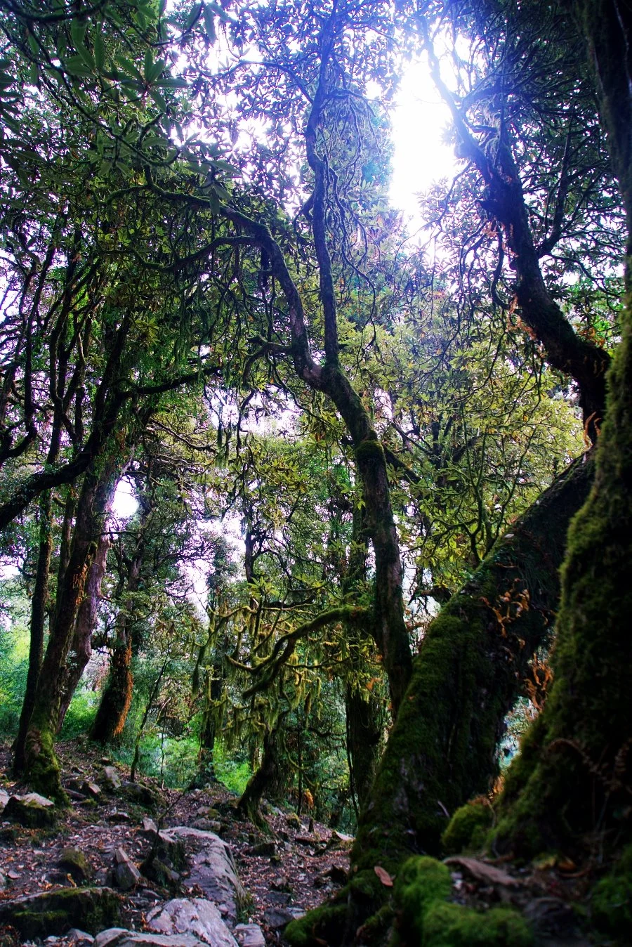 %EB%B3%B4%EC%A0%95__DSC1429.jpg?type=w1200