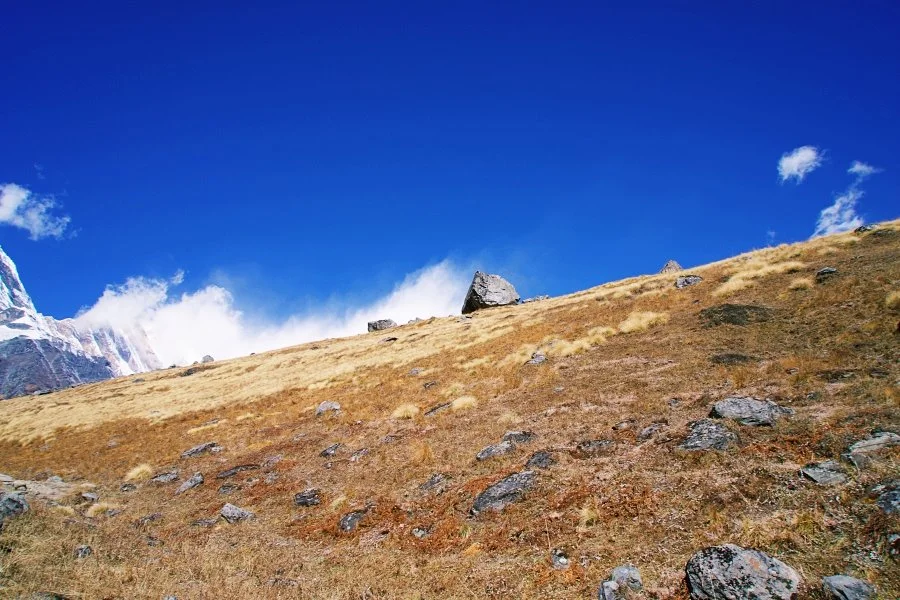 %EB%B3%B4%EC%A0%95__DSC2168.jpg?type=w1200