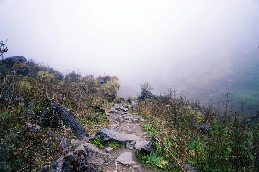 %EB%B3%B4%EC%A0%95__DSC2018.jpg?type=w1200