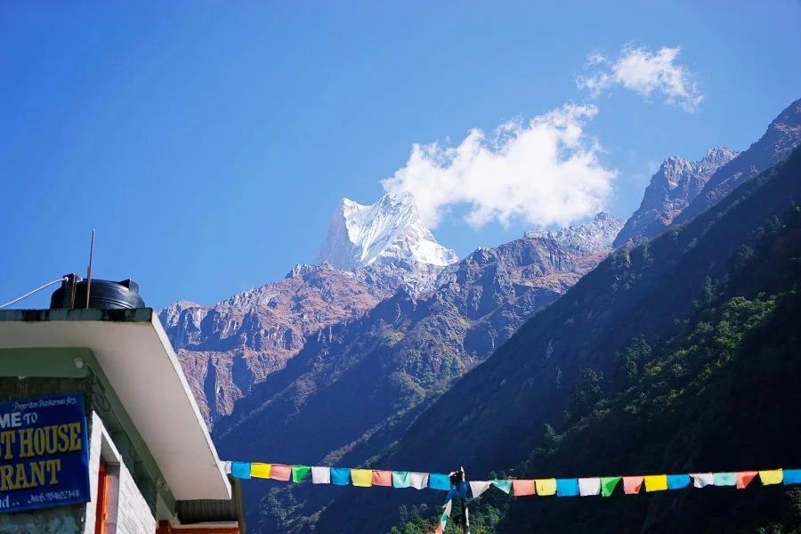 %EB%B3%B4%EC%A0%95__DSC1774.jpg?type=w1200