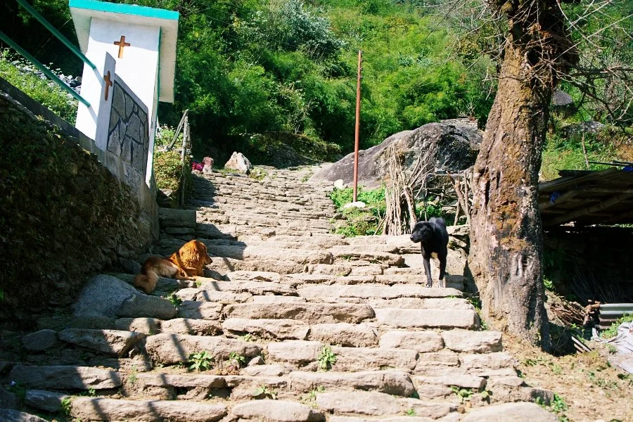 %EB%B3%B4%EC%A0%95__DSC1339.jpg?type=w1200