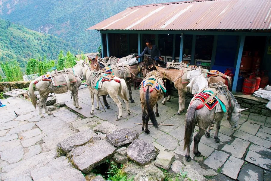 %EB%B3%B4%EC%A0%95__DSC1719.jpg?type=w1200