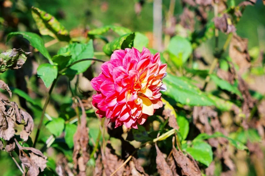 %EB%B3%B4%EC%A0%95__DSC1654.jpg?type=w1200