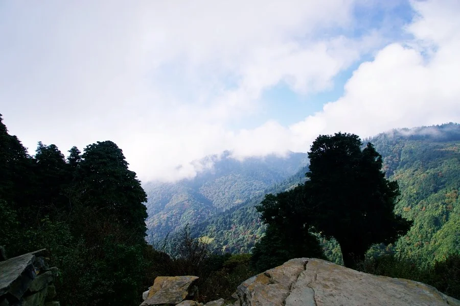 %EB%B3%B4%EC%A0%95__DSC1574.jpg?type=w1200